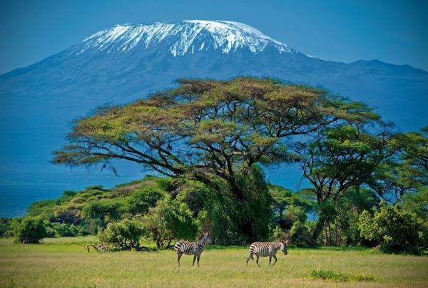 Tanzaniya haqda maraqlı faktlar