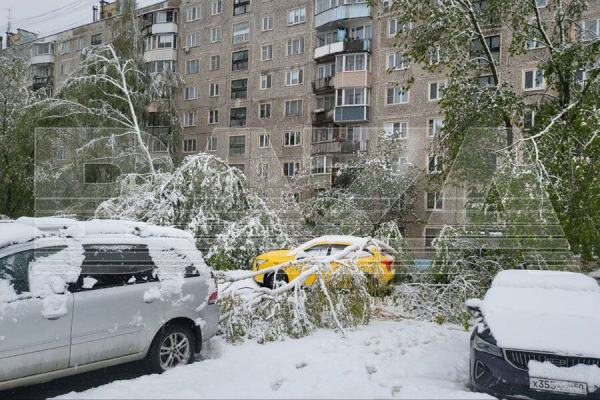 Yuxuda qar görmək nə deməkdir?...