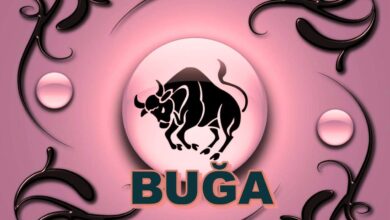 Buğa bürcü hansı aydır?