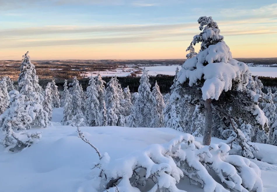 Tavelsjo. Vinter. Foto Anders Enetjarn.jpg