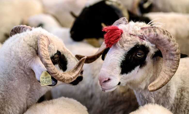 Qurban kesende oxunan dua