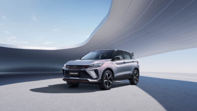 Geely Coolray problemləri