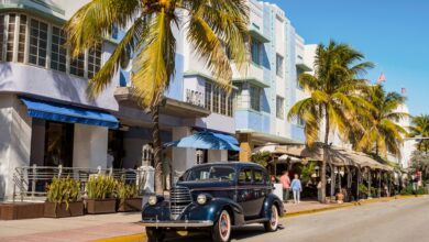 UK Miami US Header Azərbaycanlı aparıcının Mayamidəki evi - VİDEO